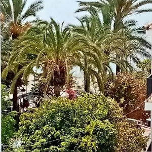  Apartamento Old Town España